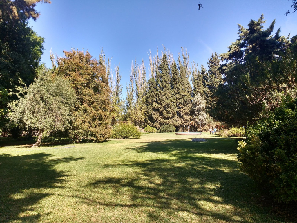 Museo Parque - Colección Suero