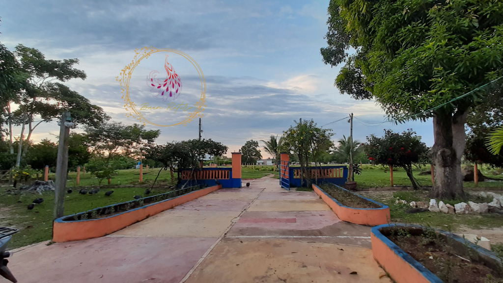 Buen Retiro, San Marcos