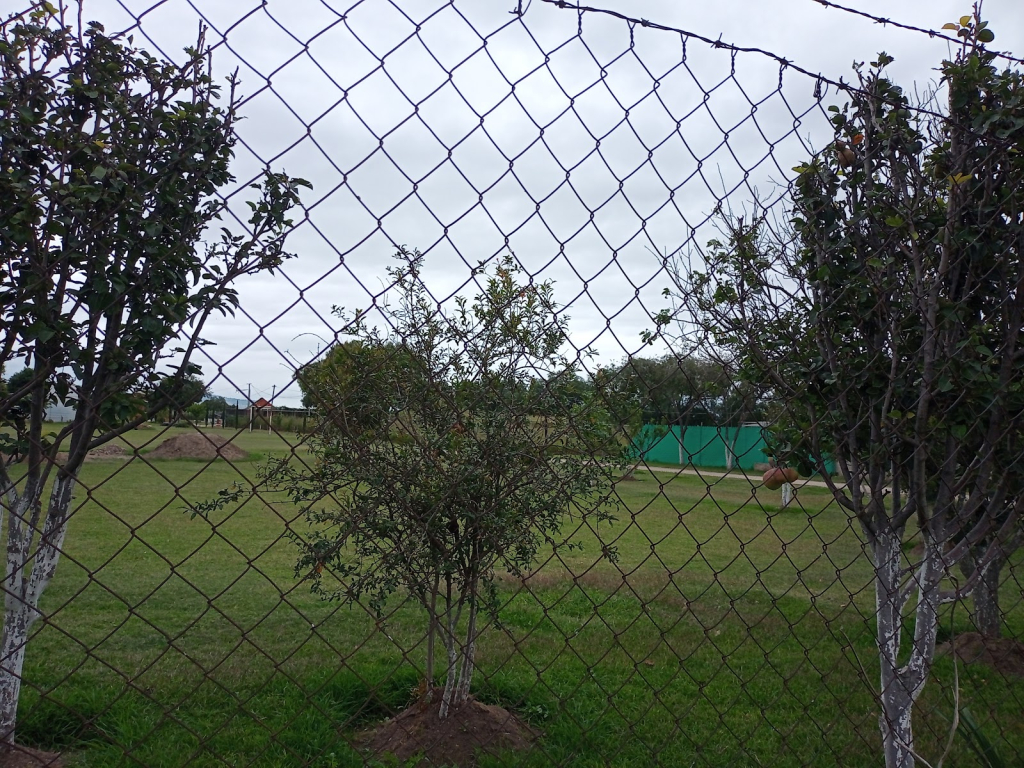 Conjunto San Marcos (Z.A. de Huexotla)