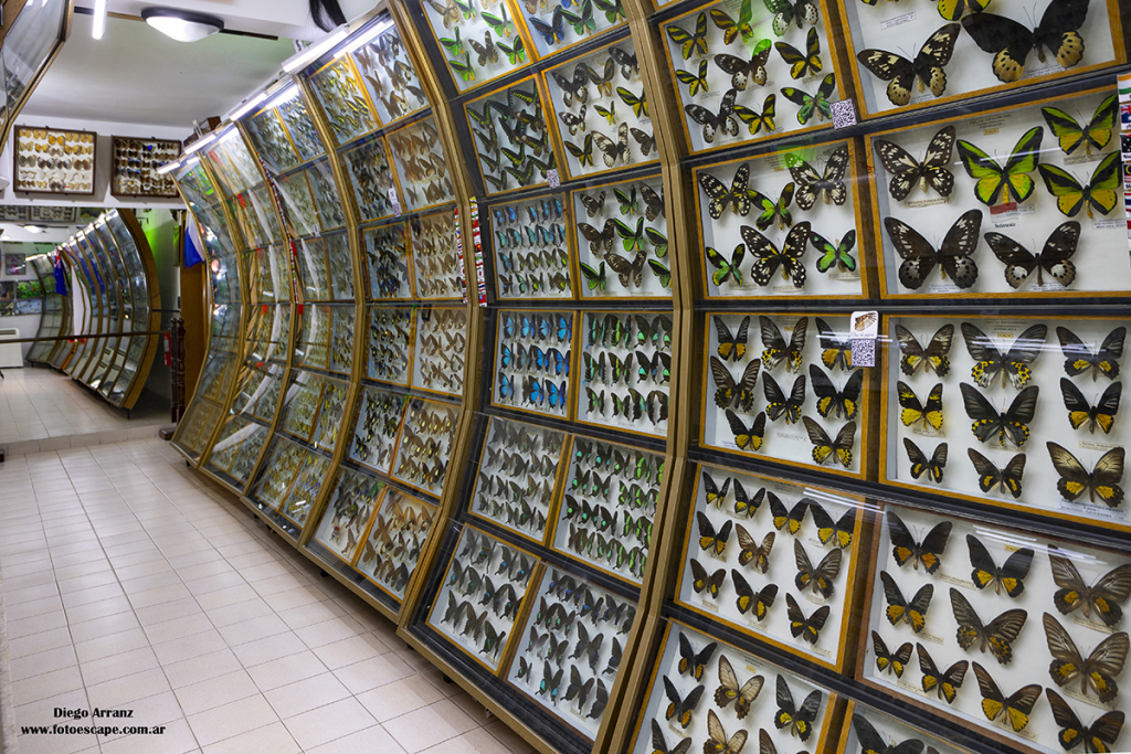 Museo Mariposas del Mundo