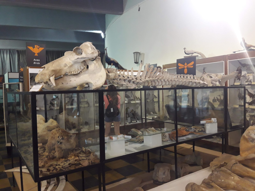 Museo de Historia Natural de San Rafael
