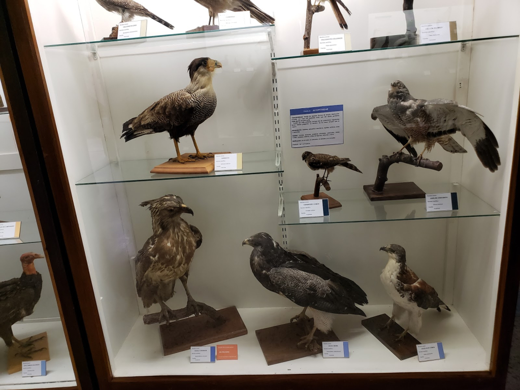 Museo Provincial de Historia Natural