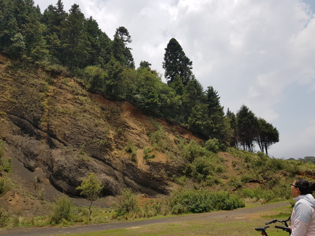 Museo Del Ferrocarril