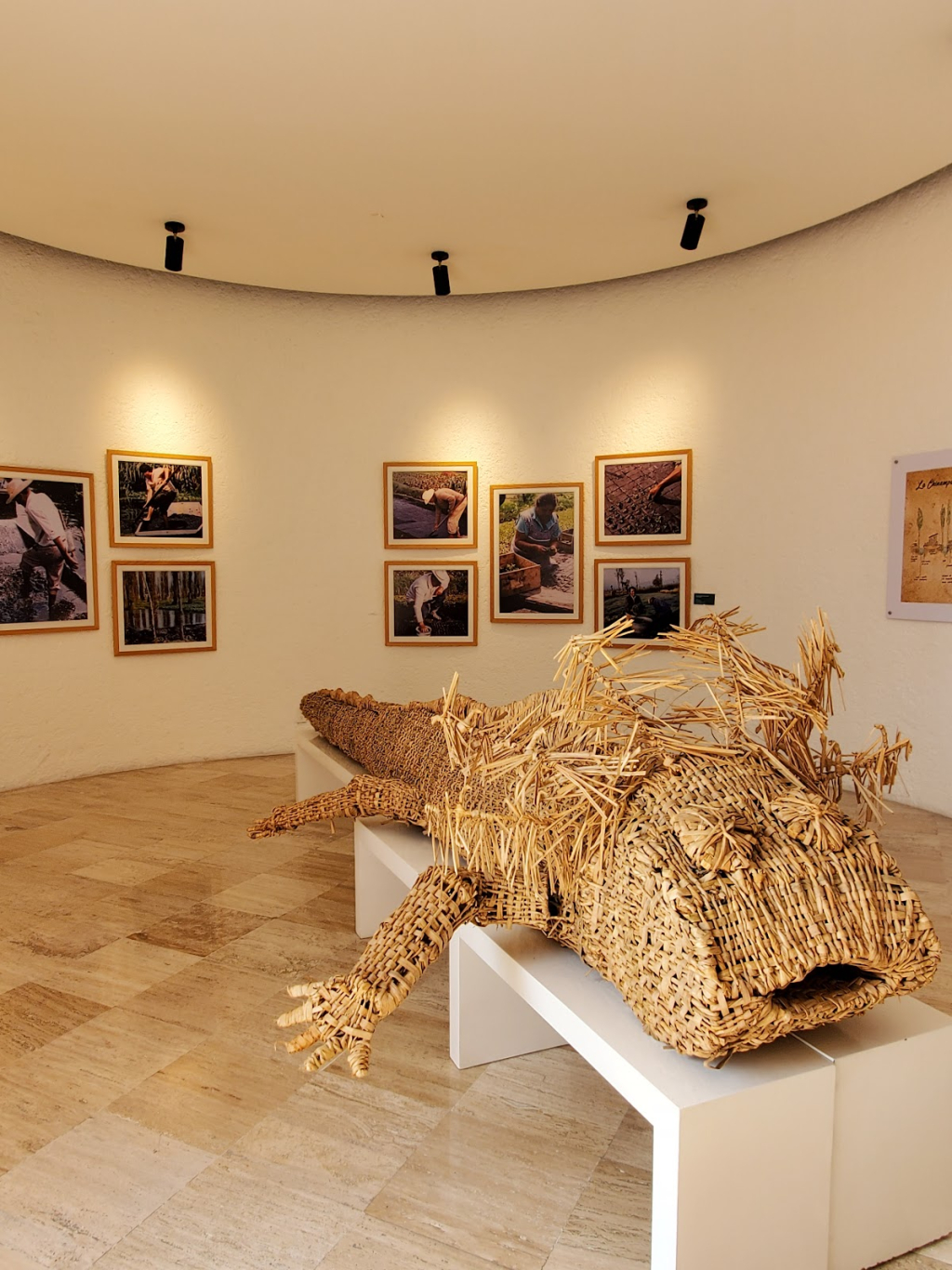Museo Flor de Chinampas