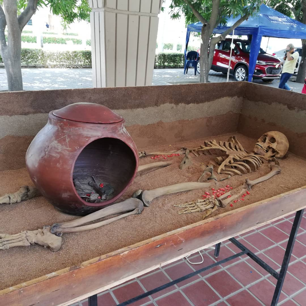 Laboratorio De Arqueologia