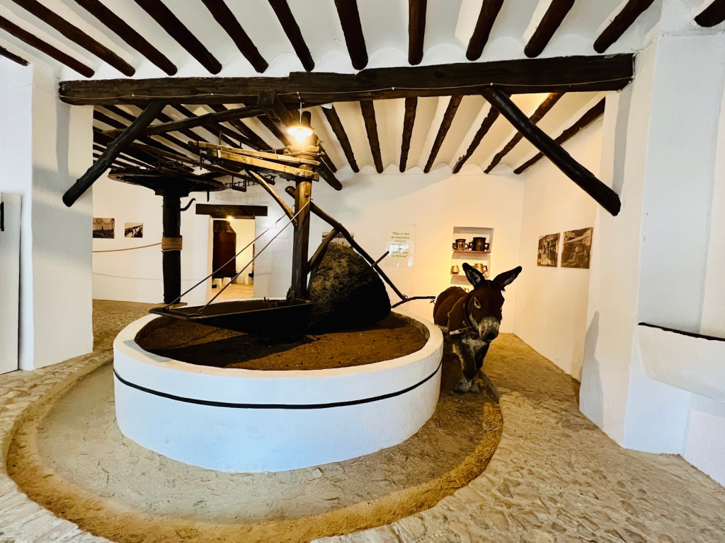 Museo de la Cultura del Olivo