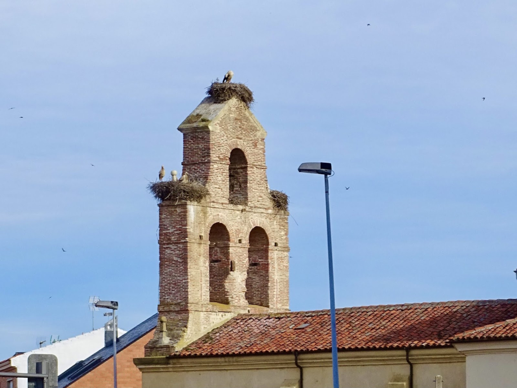 Centro de Interpretación del León Judío y del Camino de Santiago