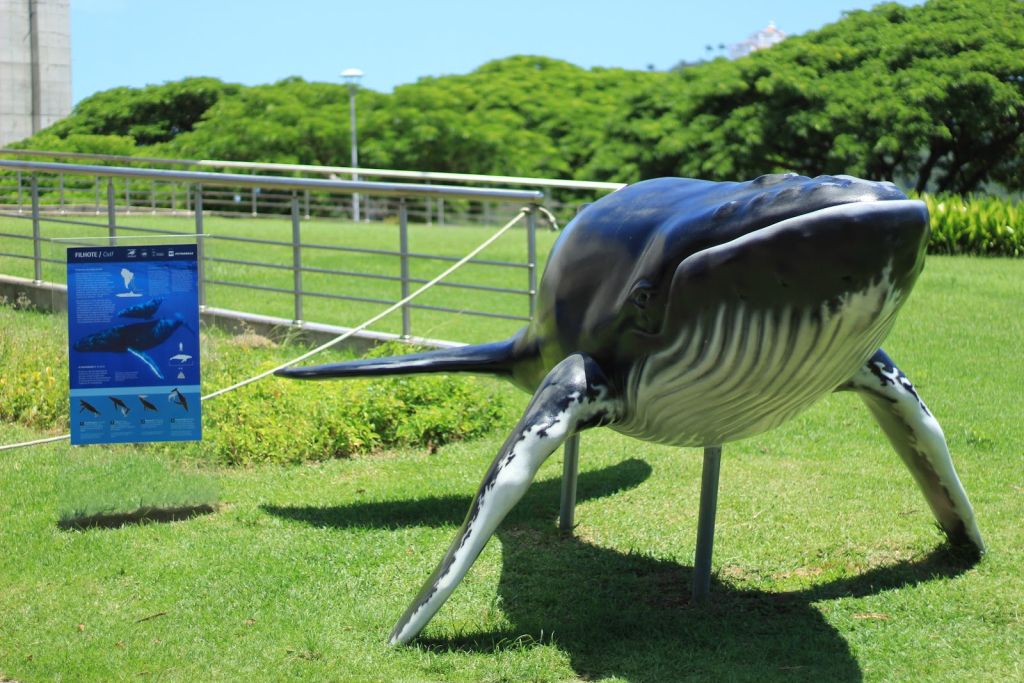 Espacio Ballena Jubarte Vitória