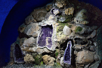 Museo de Colecciones de Madre Naturaleza