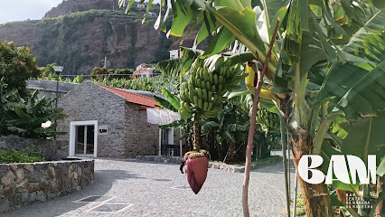 Museo de la Banana de Madeira