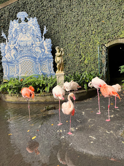 Museo de Historia Natural