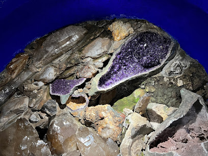 Exposición Secretos de la Naturaleza