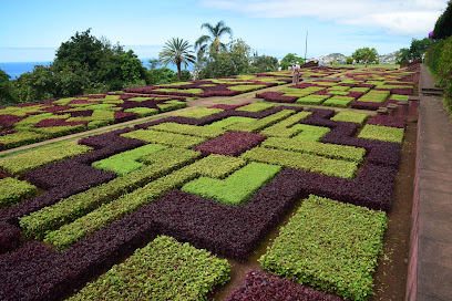 Museo Botánico Natural