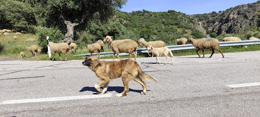 Centro de Interpretación de la Biodiversidad de Segura