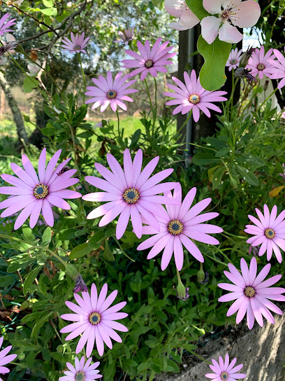 Casa de la Sociedad de Mejoras de Roda Cimeira