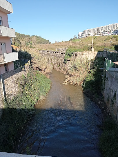 Central de Confluencia de los Ríos Alcoa y Baça