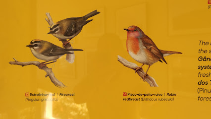 CIAX - Centro de Interpretación del Arte Xávega