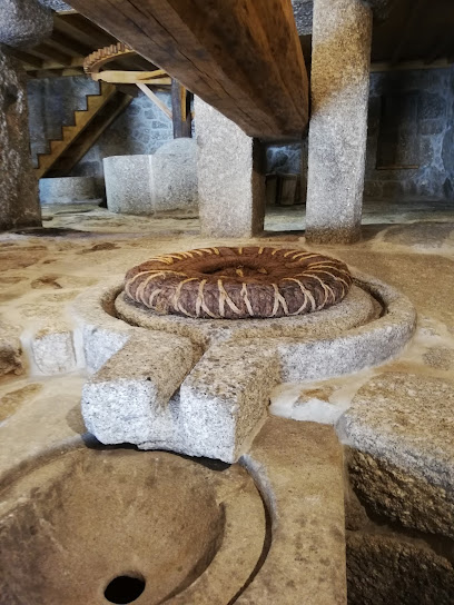 Casa de la Memoria Engenho de Recovelas