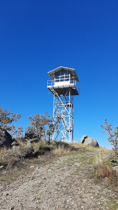 Puesto de vigilancia forestal