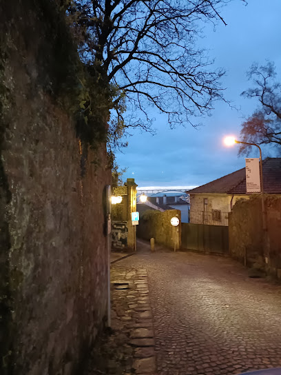 ANILUPA (Centro Lúdico de la Imagen Animada)