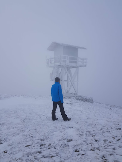 Puesto de vigilancia São Pedro Açor