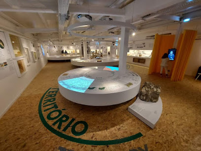 Exposición 'Con los Pies en la Tierra y las Manos en el Mar - 6000 años de historia de Quarteira'