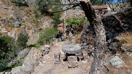 Fósiles de rastro de Penha García