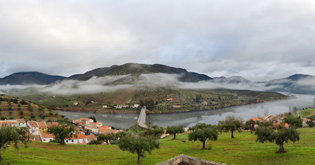 Plataforma de Ciencia Abierta