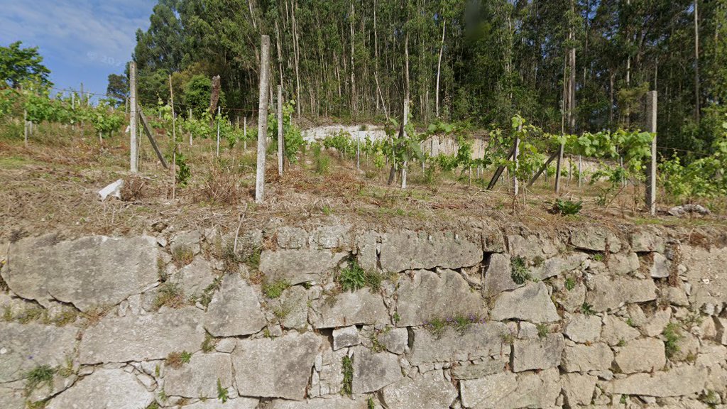 Rincón de la Biodiversidad Botánica