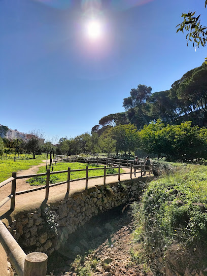 Sendero de las Viñas