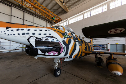 Museo del Aire - Polo Ovar