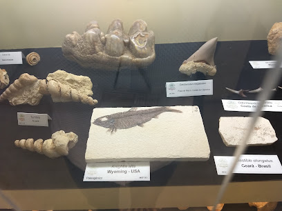 Museo de Geología de la UTAD