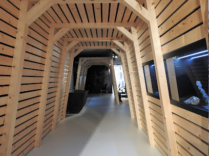 Museo Municipal Sever do Vouga