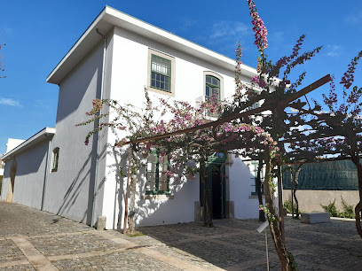 Casa del Cine Manoel de Oliveira