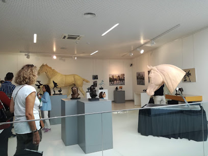Museo y Centro de Artes de Figueiró dos Vinhos