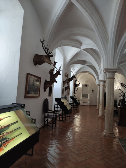 Museo de Arqueología y Museo de la Caza