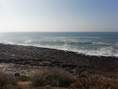 Centro Ambiental Pedra do Sal (CIAPS)