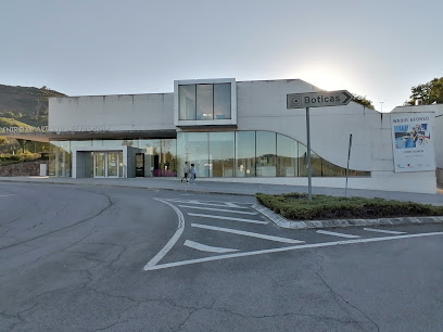 Centro de Artes Nadir Afonso