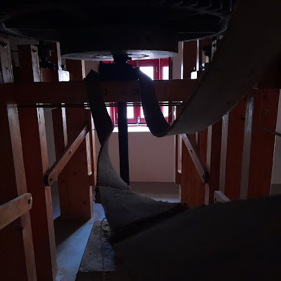 Núcleo Museológico del Molino de las Castañuelas