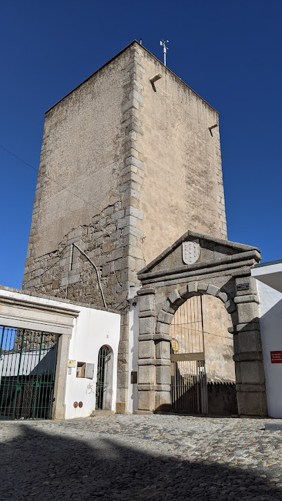 Colección de Carruajes