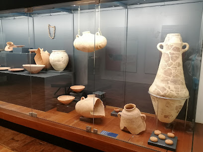 Museo del Castillo - Sección del Museo del Castillo