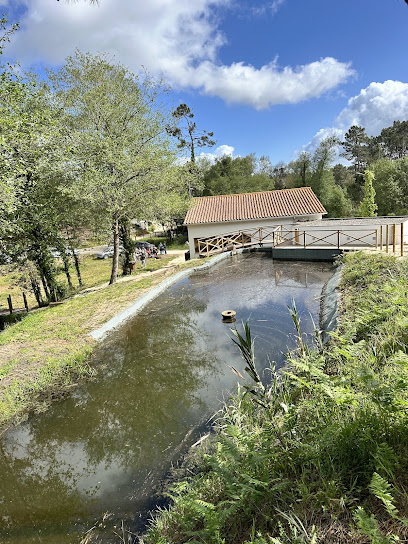 Complejo Molinológico de los Molinos de Gândara