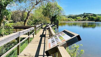 Paúl de Manique do Intendente