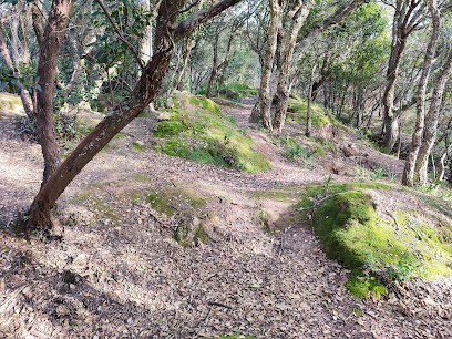 Fuerte de Montachique