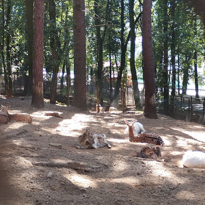 Centro de Educación Ambiental de Vinha de Mouros