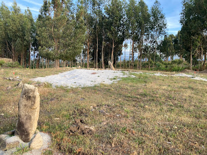 Orquinha de la Víbora