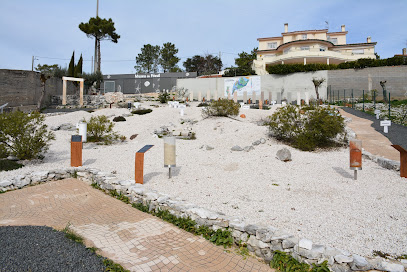 Museo Fósil de las Grutas de Mira de Aire