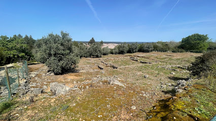 Villa Romana de Parreitas