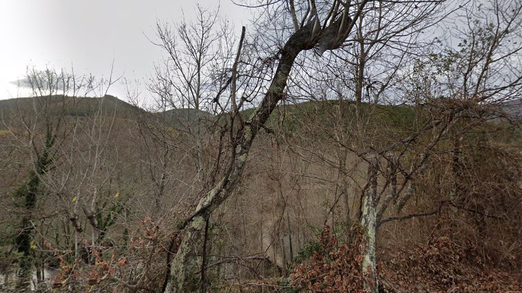 Pontón de madera