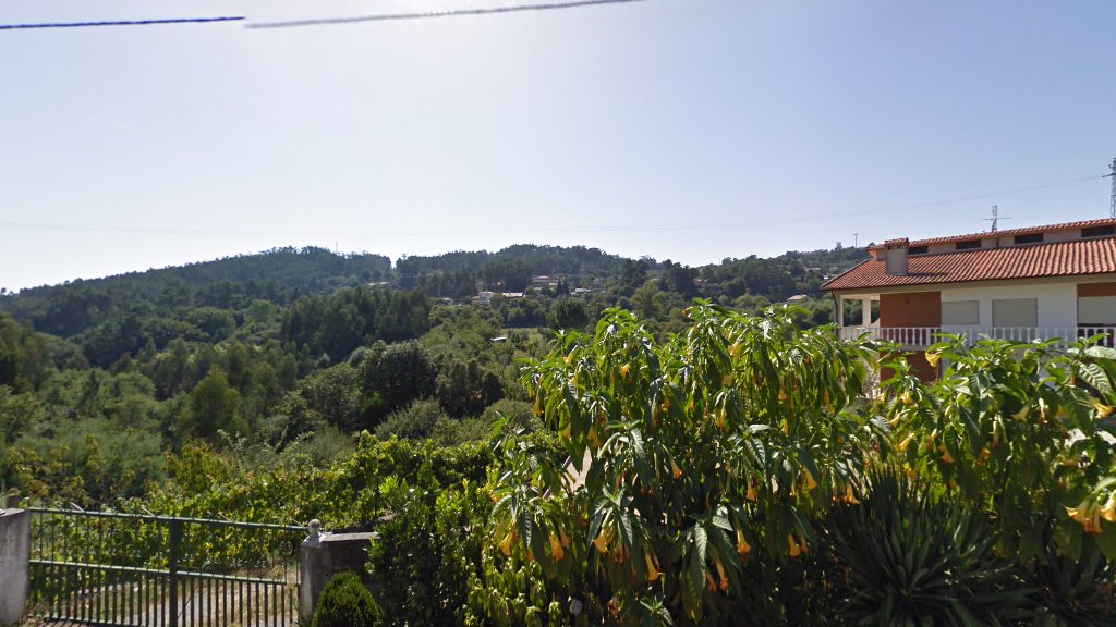 Molino